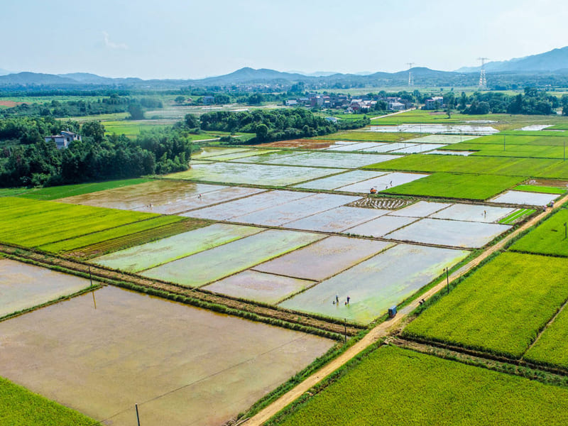 恒美科技助力高標(biāo)準(zhǔn)農(nóng)田建設(shè)，推進(jìn)農(nóng)業(yè)現(xiàn)代化